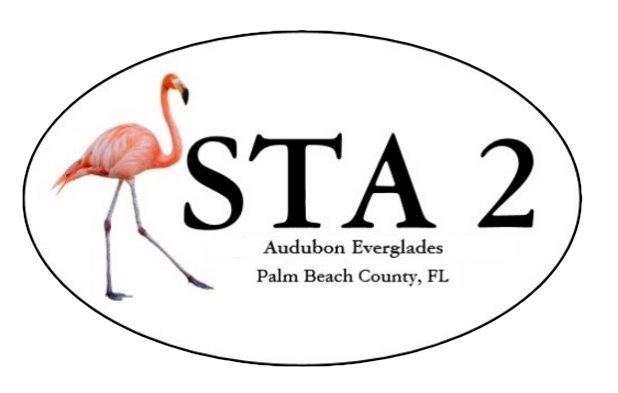 flamingo-quest-audubon-everglades
