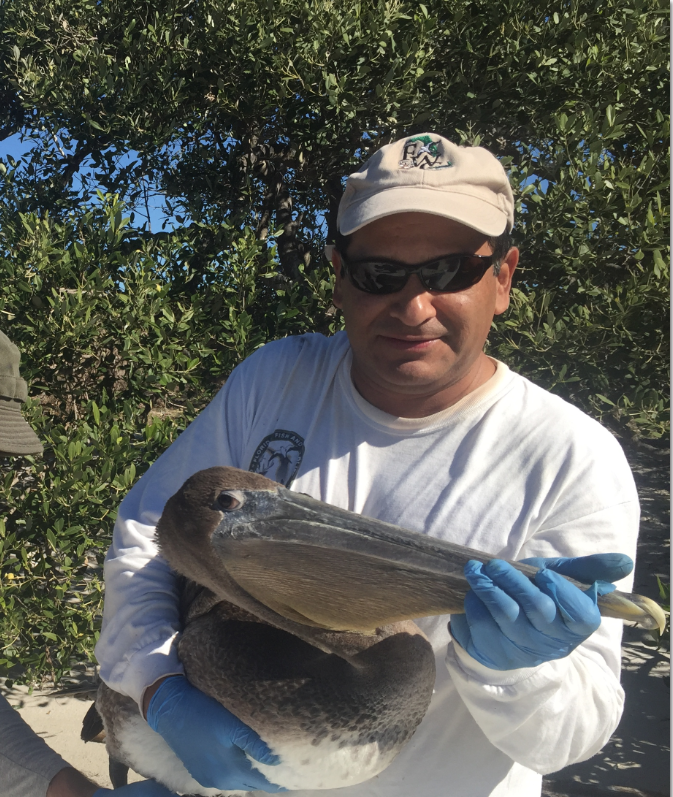 Ricardo Zambrano, Pelican Rescue
