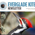 Nov19Kite