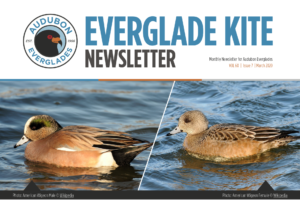 Mar20Kite