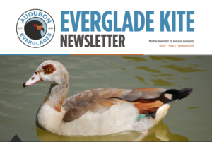 Dec20Kite