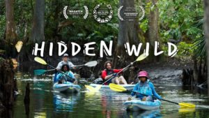 Hidden-Wild